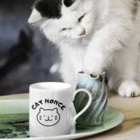 cat nonce mug
