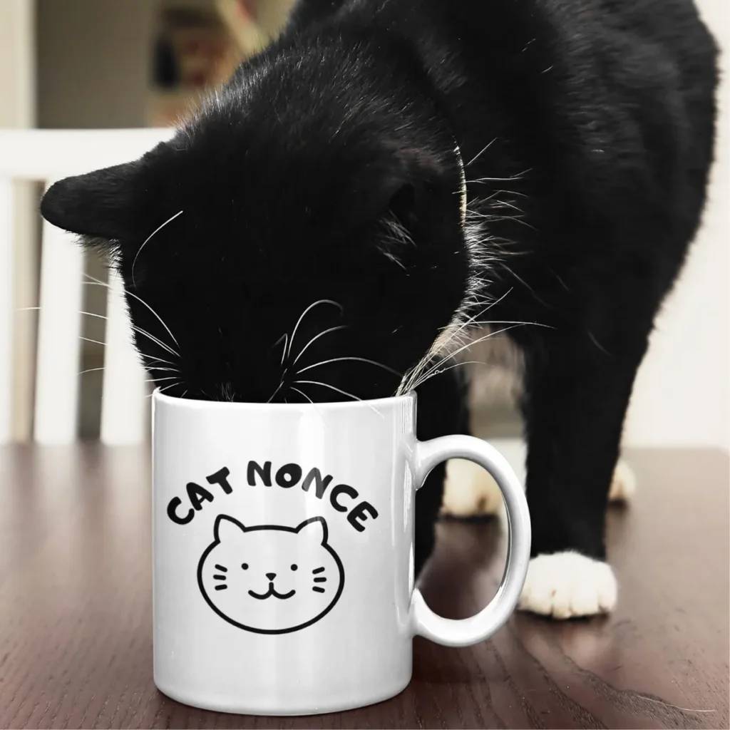 cat nonce mug