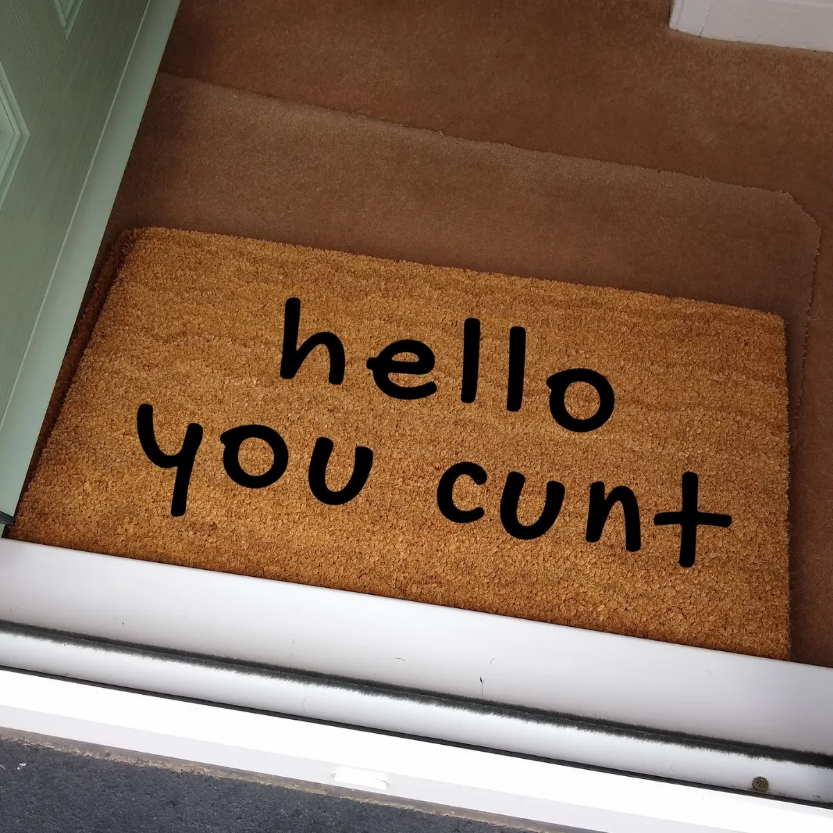hello you cunt