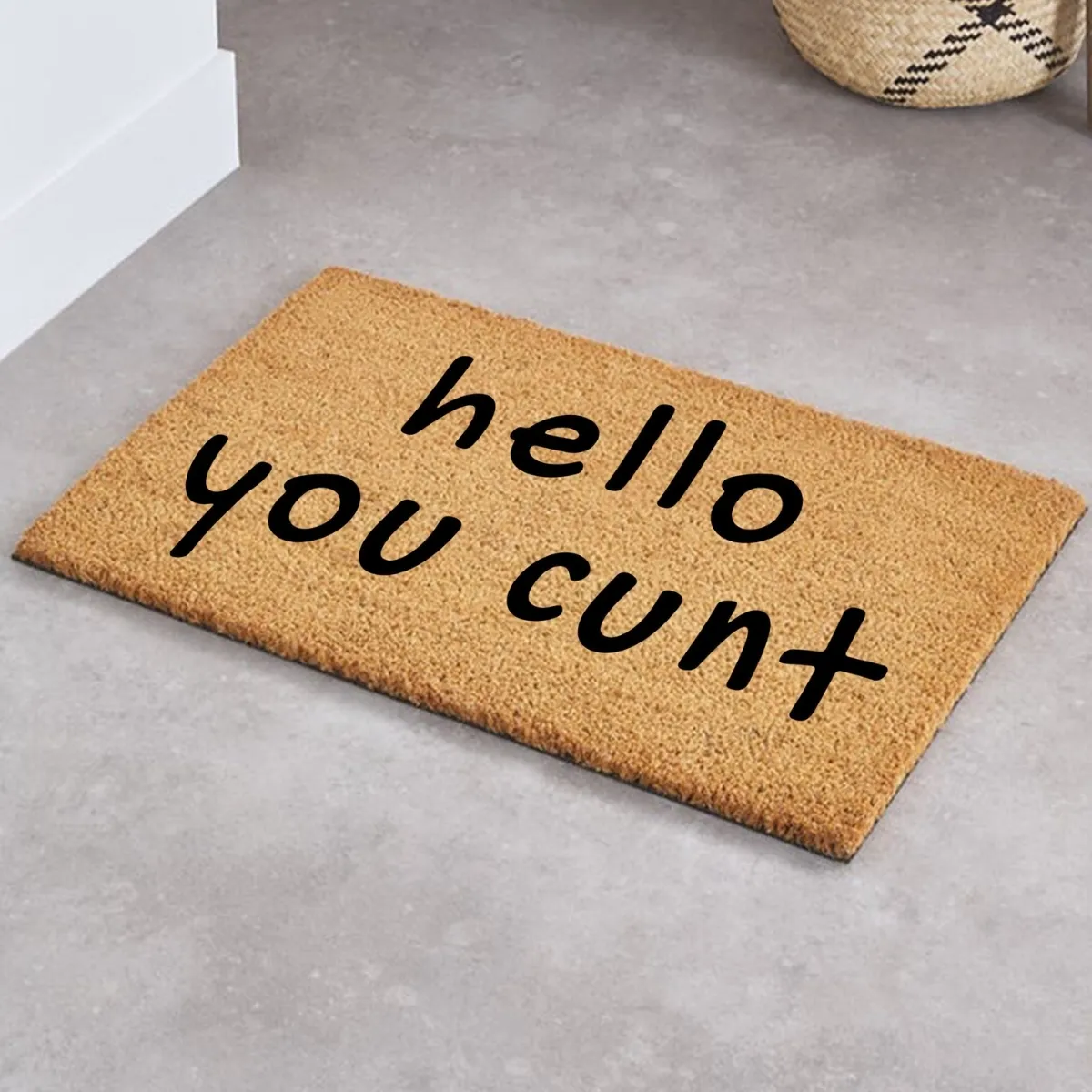 hello you cunt