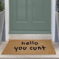 hello you cunt