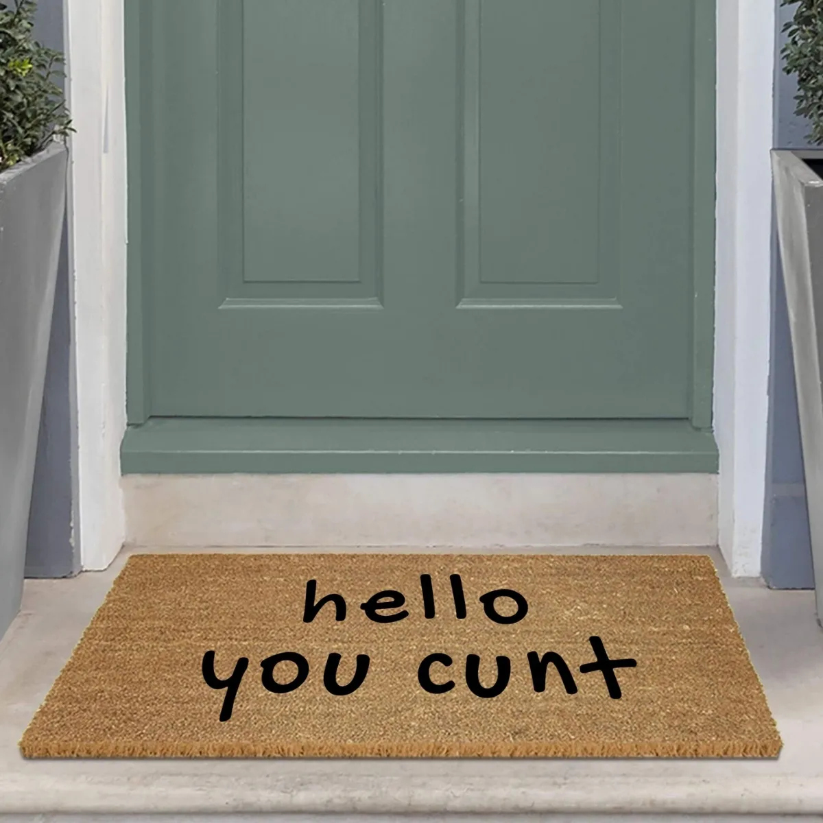 hello you cunt