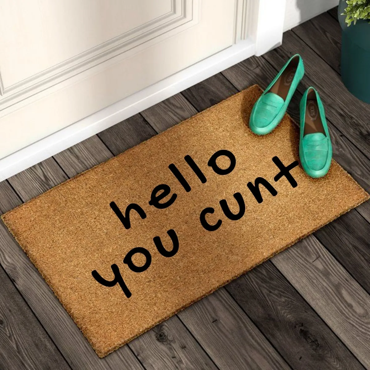 hello you cunt